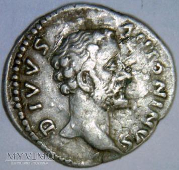 Denar, Antoninus Pius 38-6, Denar, Antoninus Pius 38-6, Muzeum