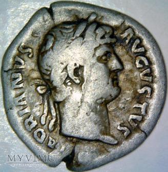 Hadrian(76 38)-denar do opisu Hadrian(76 38)-denar do opisu Muzeum użytkownika Datowanie: 7 Dobry moneta -