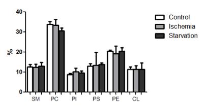 % fosfolipidów w klasie Relatywna zawartość (%) Relatywna zawartość (%) Profilowanie klas fosfolipidów Zawartość Phospholipid