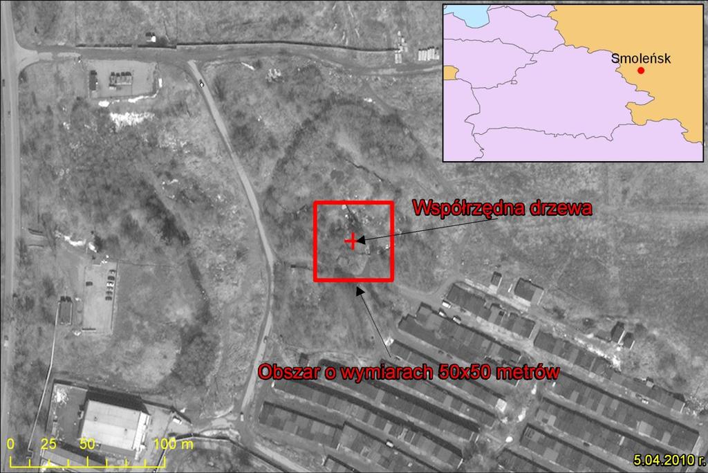 z dostarczonym przez SmallGIS zobrazowaniem z 12 kwietnia 2010 roku. Po dokonaniu korekty rektyfikacji zdjęć satelitarnych, zostały wprowadzone współrzędne geograficzne drzewa.