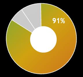 Segment Nawozy Grupy Azoty POLICE (GK) (mln PLN) IH 2012 IH 2013 Zmiana Przychody 1 378 1 247-10% Nawozy wieloskładnikowe 932 776-17% Mocznik 251 214-15% Amoniak 165 215 30% Pozostałe 30 42 40% Marża