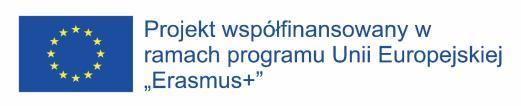 Ways to enhance active aging through volunteering WEActiveVol Erasmus+ Strategic Partnership 2016-1-PL01-KA204-026166 Niniejszy projekt został sfinansowany przy wsparciu