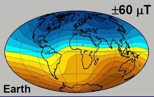 Czemu pole