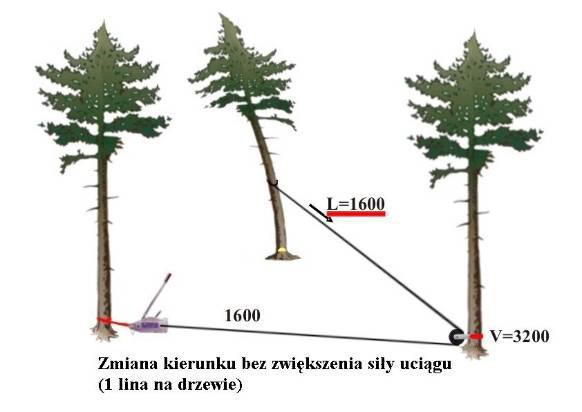7. Z chwilą, gdy drzewo zaczyna padać, obsługujący ściągacz linowy powinien oddalić się w bok (co najmniej 5 m).