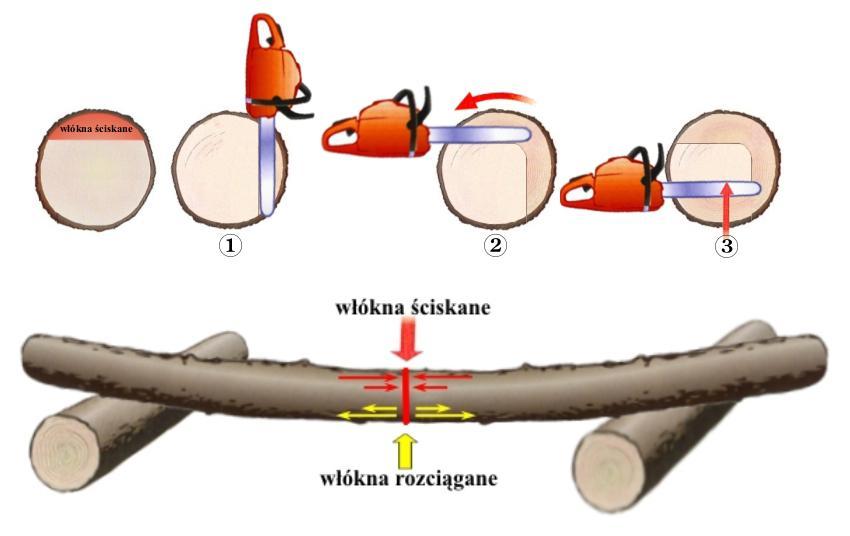 Rys.47 Technika przerzynki drewna mocno naprężonego.