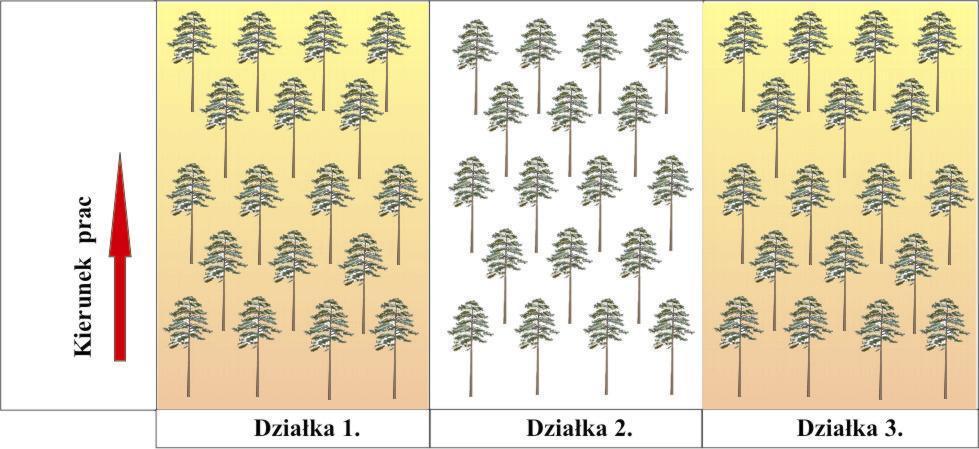 2. Pilarki, w zależności od grubości drzew, powinny być wyposażone w długie prowadnice pozwalające na bezpieczniejszą ścinkę i przerzynkę bez konieczności stosowania cięć złożonych. 3.