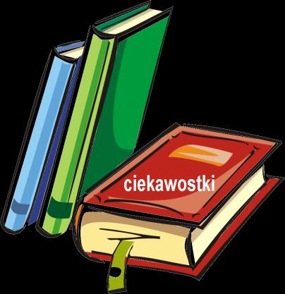 W USA samochód można prowadzić w wieku 16 lat, karabin automatyczny kupić w wieku 18 lat, alkohol można zakupić dopiero po ukończeniu 21 lat.
