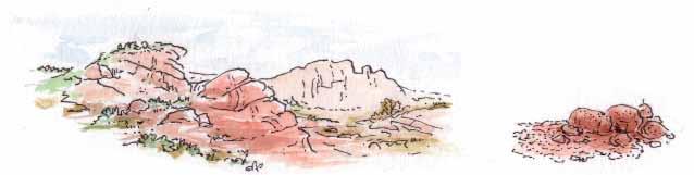 Ten typ podłoża jest często spotykany w pobliżu pasm górskich. 1. Gleba piaszczysto-żwirowa Ten rodzaj gleby jest łatwy w obróbce.