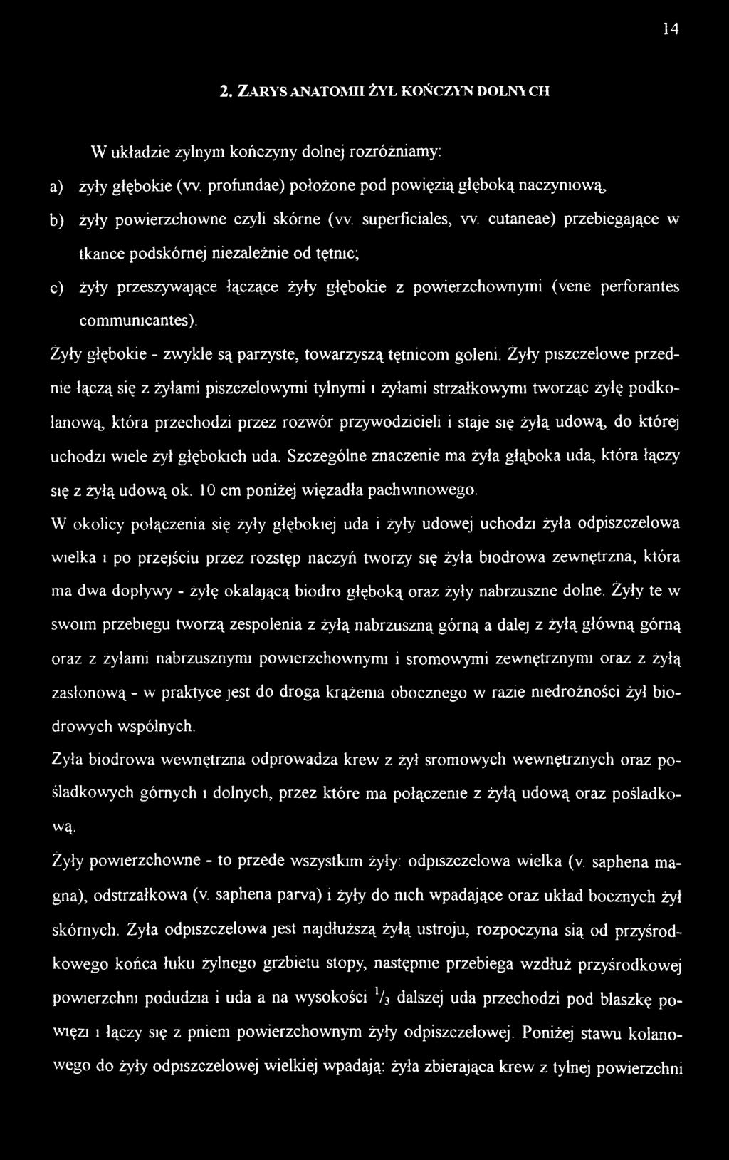 Żyły piszczelowe przednie łączą się z żyłami piszczelowymi tylnymi i żyłami strzałkowymi tworząc żyłę podkolanową, która przechodzi przez rozwór przywodzicieli i staje się żyłą udową, do której