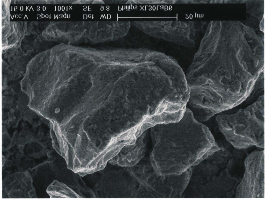 Przyjęto, że mniejszy wymiar, czyli szerokość cząstek, wynosił około 10-20 µm, zaś ich większy wymiar, czyli długość, wynosił do 40 µm.