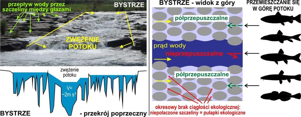 okazała się bezużyteczna dla ryb podejmujących wędrówki w górę potoku.