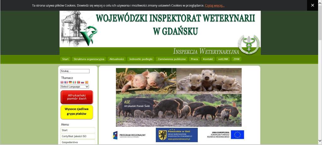 Działania zapobiegające wystąpieniu ASF w