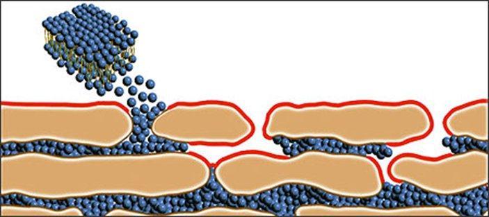 międzykomórkowej skóry właściwej substancje transdermalne, zdolne aktywować komórki wytwarzające kolagen, elastynę i enzymy fibroblasty. Jest to pewna sprzeczność celów.