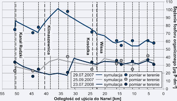Rozkład stężeń P org wzdłuż biegu Biebrzy był we wszystkich symulacjach podobny do rozkładu stężeń u organicznego, co wskazuje na zasilanie Biebrzy w organiczne formy biogenów z tego samego źródła,