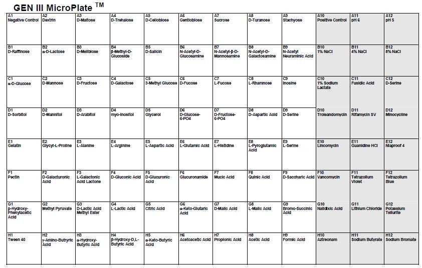 PRZEZNACZENIE Mikropłytka GEN III umożliwia identyfikację szerokiego spektrum bakterii Gramdodatnich i Gram-ujemnych w oparciu o wyniki 94 różnych testów biochemicznych.