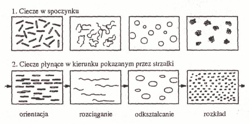 W skomplkowanych układach bopolmerów występuje slne, wzajemne oddzaływane pomędzy cząsteczkam.