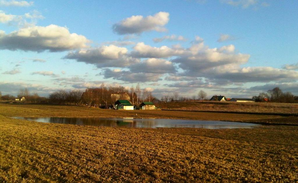 Zagłębienia bezodpływowe obszarów lessowych Polski. Stan i perspektywy badań fot. R. Kołodyńska-Gawrysiak, 20