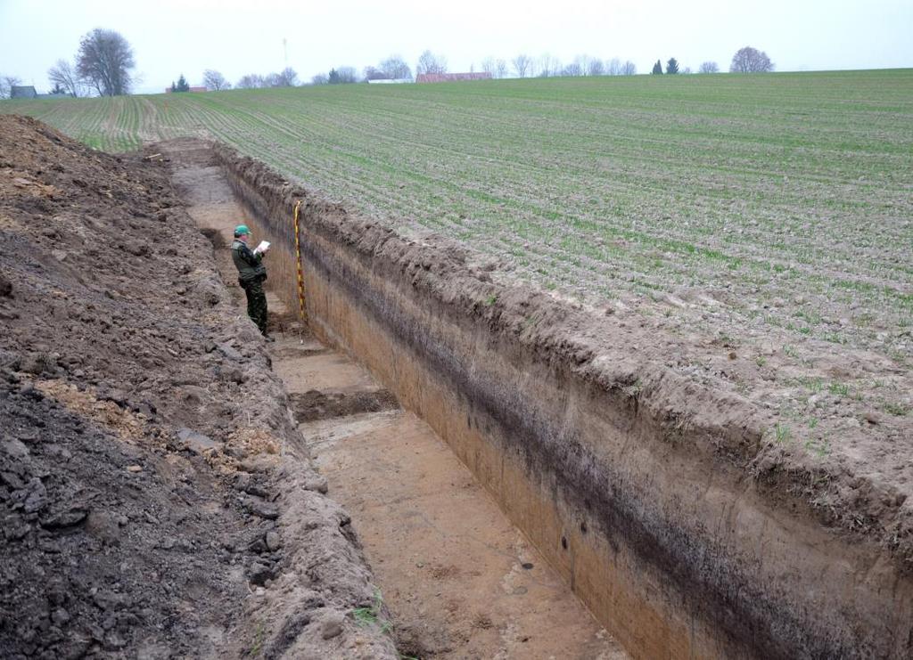 Zagłębienia bezodpływowe obszarów lessowych Polski. Stan i perspektywy badań zwracają uwagę, że lessy pod dnami zagłębień są głęboko odwapnione.