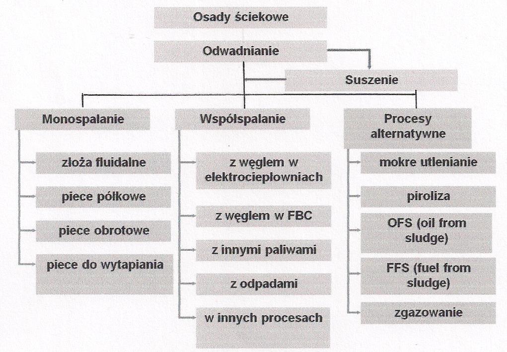 Rys.8. Główne metody termicznego przetwarzania tak przygotowanych osadów to: monospalanie, w piecach fluidalnych lub rusztowych, współspalanie, w innych instalacjach, np.