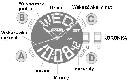 CHARAKTERYSTYKA (Moduł NX11, NX14 ) Zegarek LORUS Seria R23 Miło nam, że wybraliście Państwo oferowany przez nas produkt.