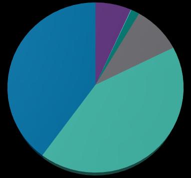 Rachunki bankowe i bezgotówkowe instrumenty płatnicze Wykres nr 60.