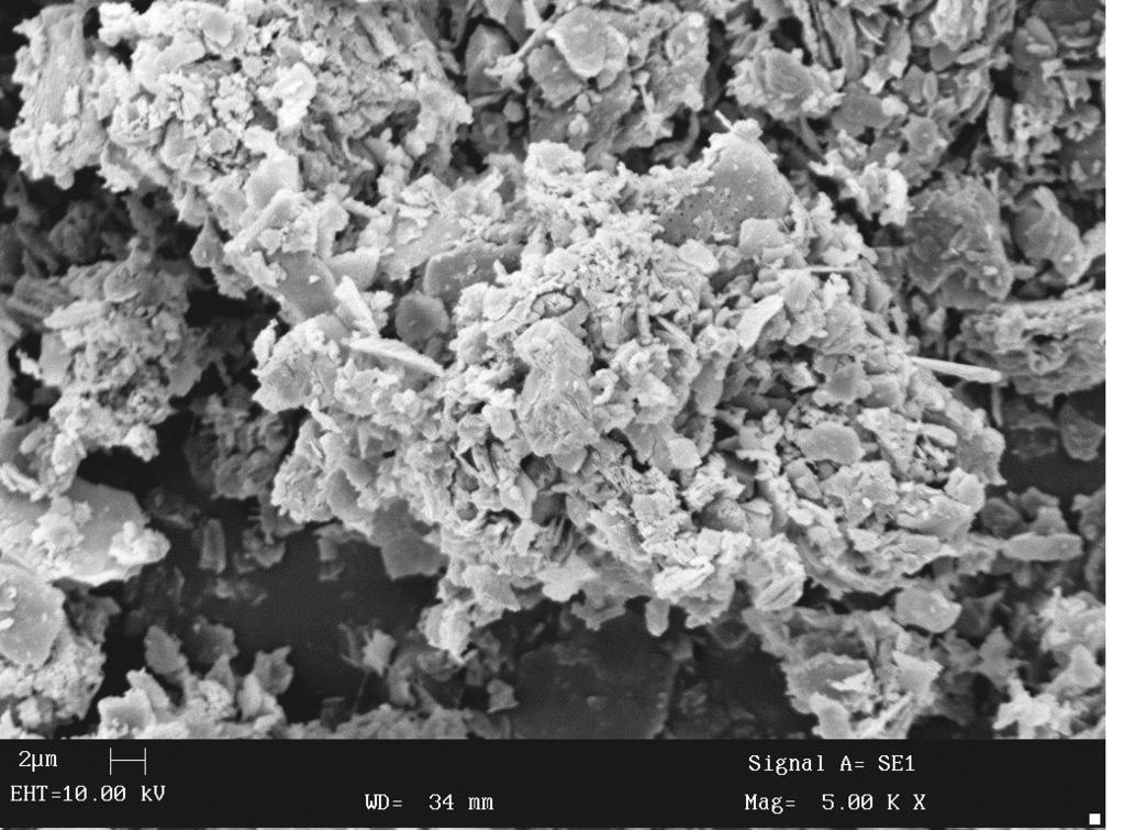 and Stephanodiscus sp. (on the right) in samples of bottom sediments from Dobromierz reservoir Rysunek 4.