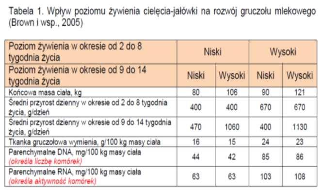 PROGRAMOWANIE DUŻEGO PbSM