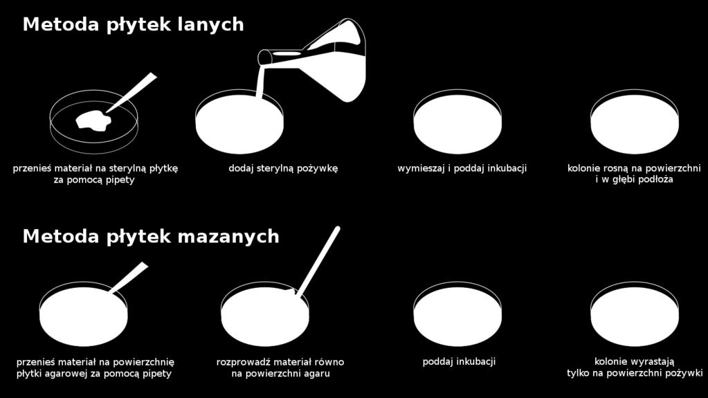 Wiele metod i sposobów, np. 6 https://pl.