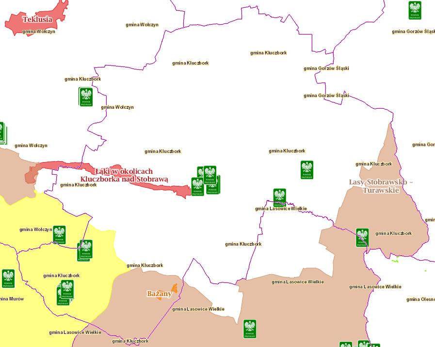 Prognoza oddziaływania na środowisko Planu gospodarki niskoemisyjnej dla Gminy Kluczbork 13. Pomnik przyrody skupisko 10 drzew w obrębie obszaru wiejskiego gminy Kluczbork ustanowiony 23.04.1954 r.