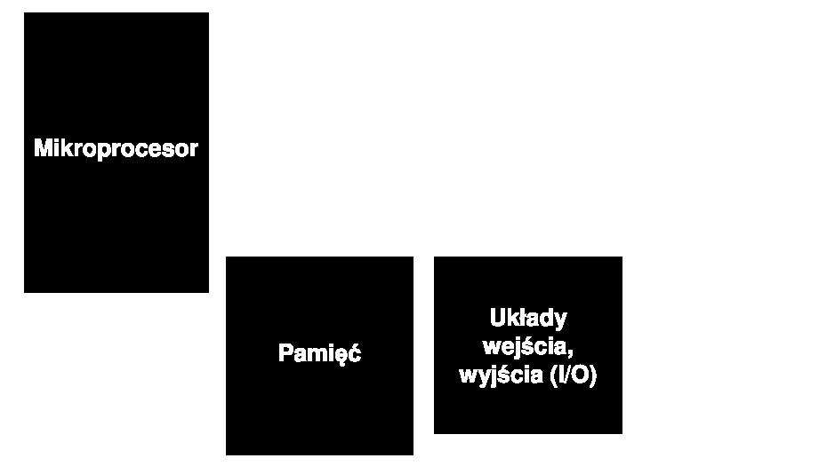 koszt, przechowywać dane i programy w sposób trwały.