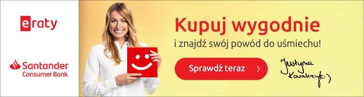 8.4. Logotyp Raty Santander Consumer Bank przykładowe realizacje banery internetowe
