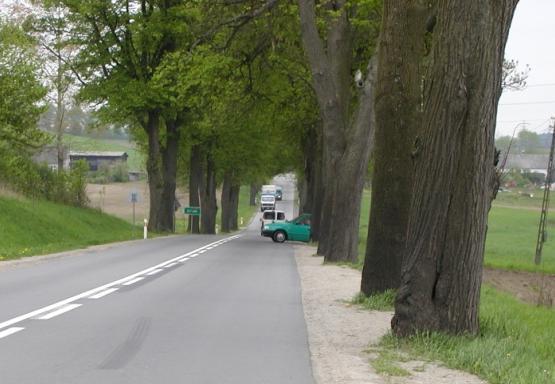 Fot. 2 Drzewa ograniczające widoczność i stanowiące przeszkodę boczną Fot. 3.