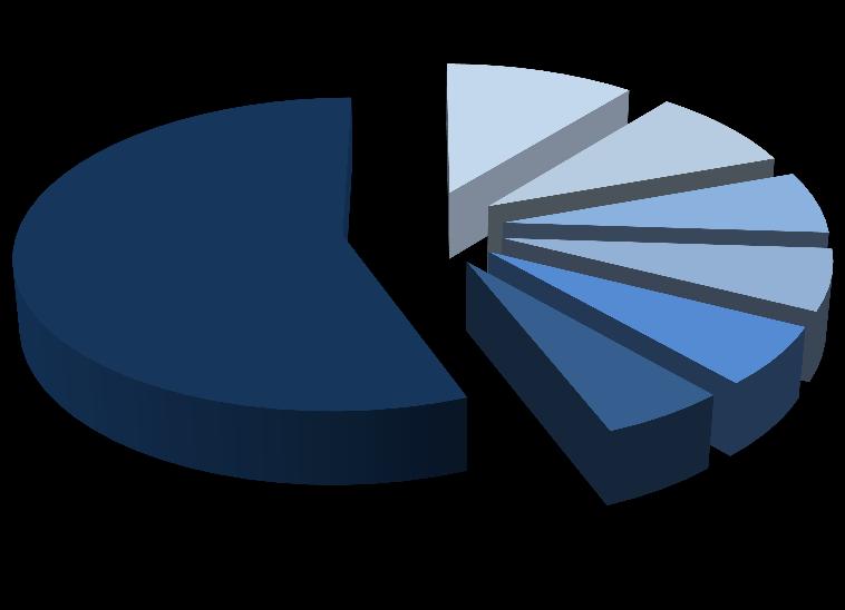 A. 6,13% 6,38% Fundusze zarządzane przez Pioneer Pekao Investment Management S.A. Pozostali Pozostali Noble Funds TFI S.