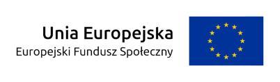 Działania wspierające rozwój ekonomii społecznej, obejmujące usługi: animacji lokalnej, rozwoju ekonomii społecznej oraz wsparcia istniejących podmiotów ekonomii społecznej Regionalnego Programu