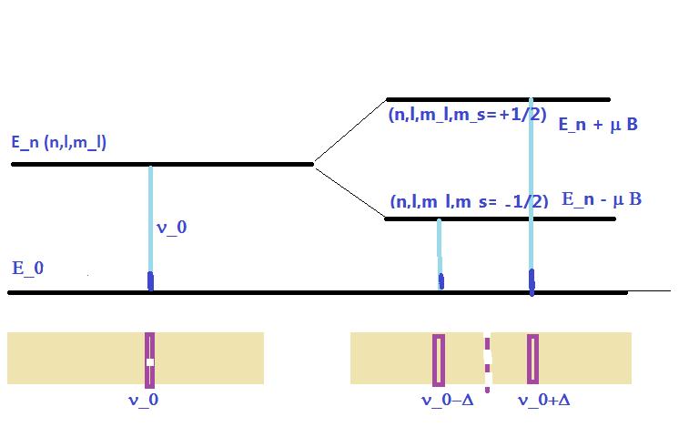 Podwojenie linii widmowych Podwojenie linii w polu magnetycznym jakby obok momentu magnetycznego opisywanego l.