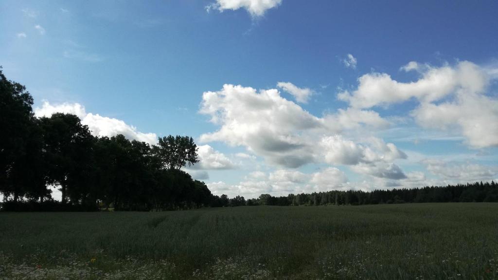 Zdjęcie 1.