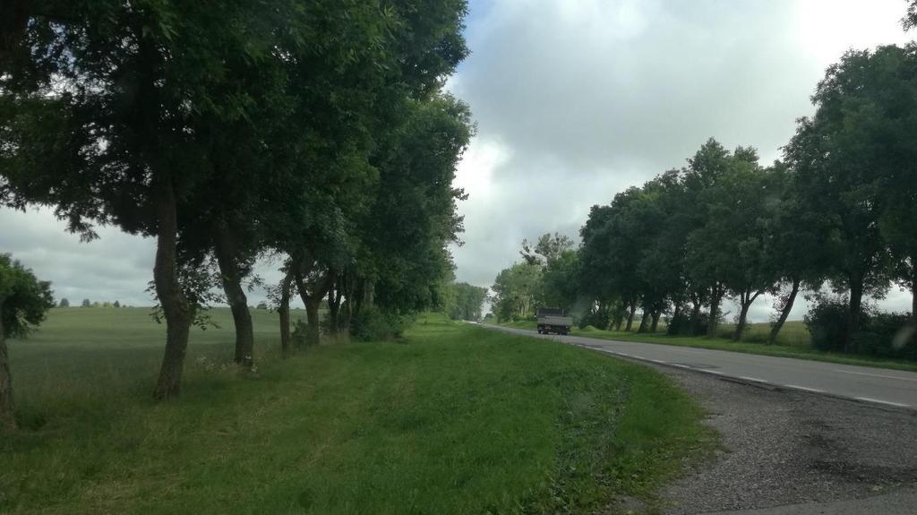 (źródło: zbiory własne, 14-07-2017). Zdjęcie 2.
