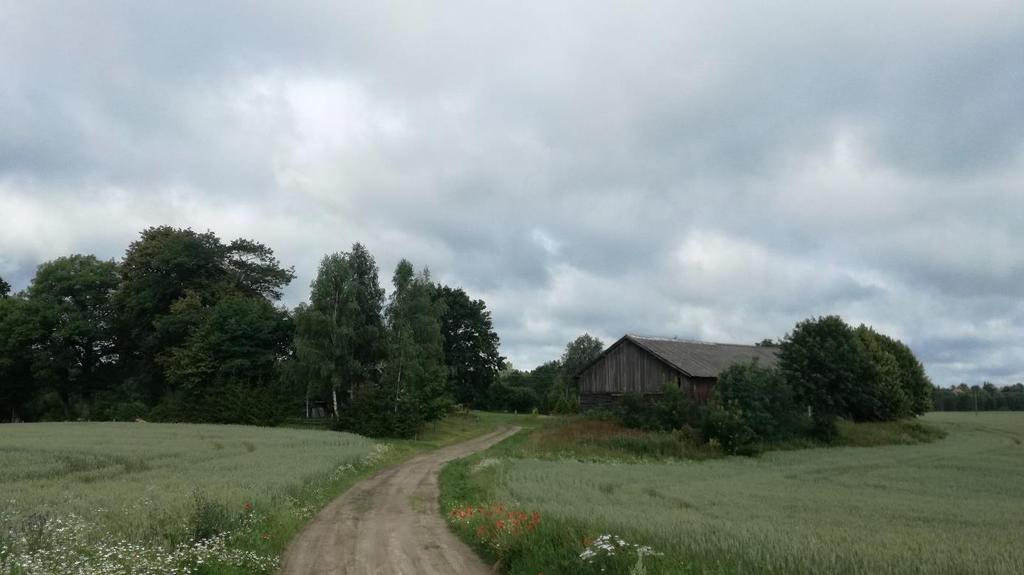Analizowany teren stanowi użytkowane pole uprawne, utrzymane w dobrej kulturze rolnej, jednakże o niskiej wartości produkcyjnej.