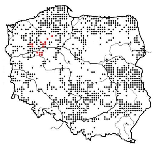 Rozmieszczenie Oxycoccus palustris Pers.