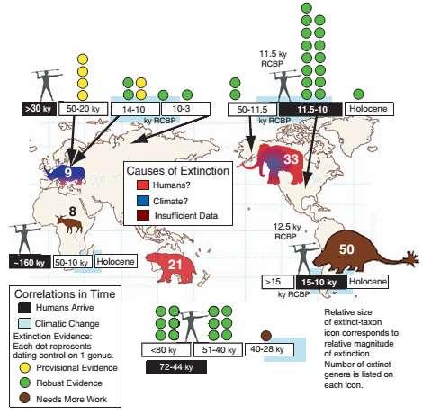 III. Drapieżnictwo człowieka Jakie były przyczyny ekstynkcji gatunków megafauny w