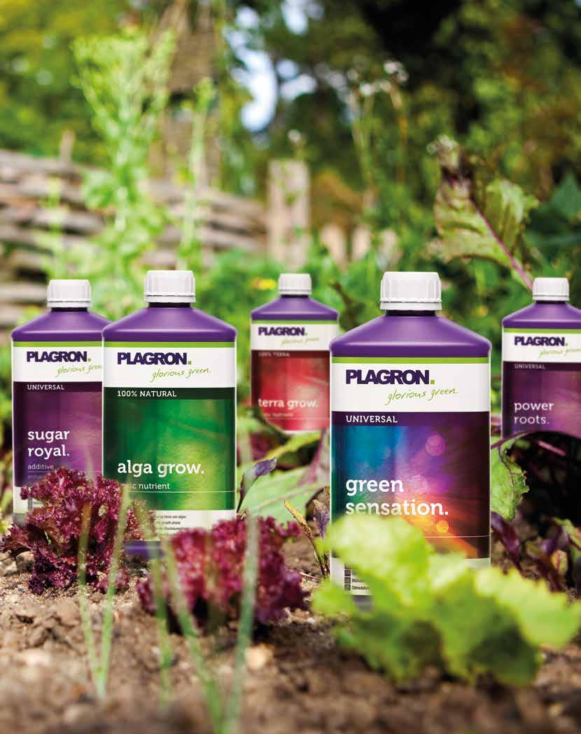 Plagron to godny zaufania producent i ogólnoświatowy dostawca wysokojakościowych produktów. Jesteśmy czołową firmą na rynku i oferujemy bogaty asortyment podłoży, nawozów i dodatków.