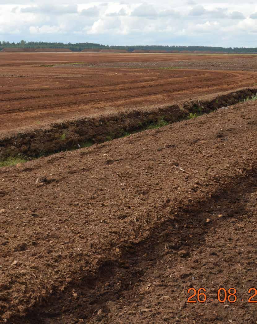 Torf to mokry i gąbczasty rodzaj gleby o niskiej zawartości tlenu, która składa się z obumarłych szczątków roślinnych.