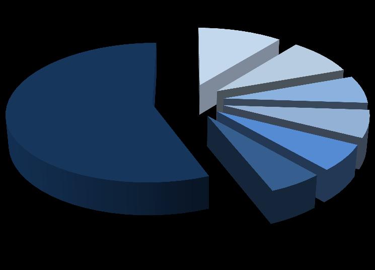 11 Akcjonariat Spółki Liczba akcji 5 982 716 Liczba głosów 7 610 966 66,69% Zdzisław Klimkiewicz 4,29% 3,30% Jolanta