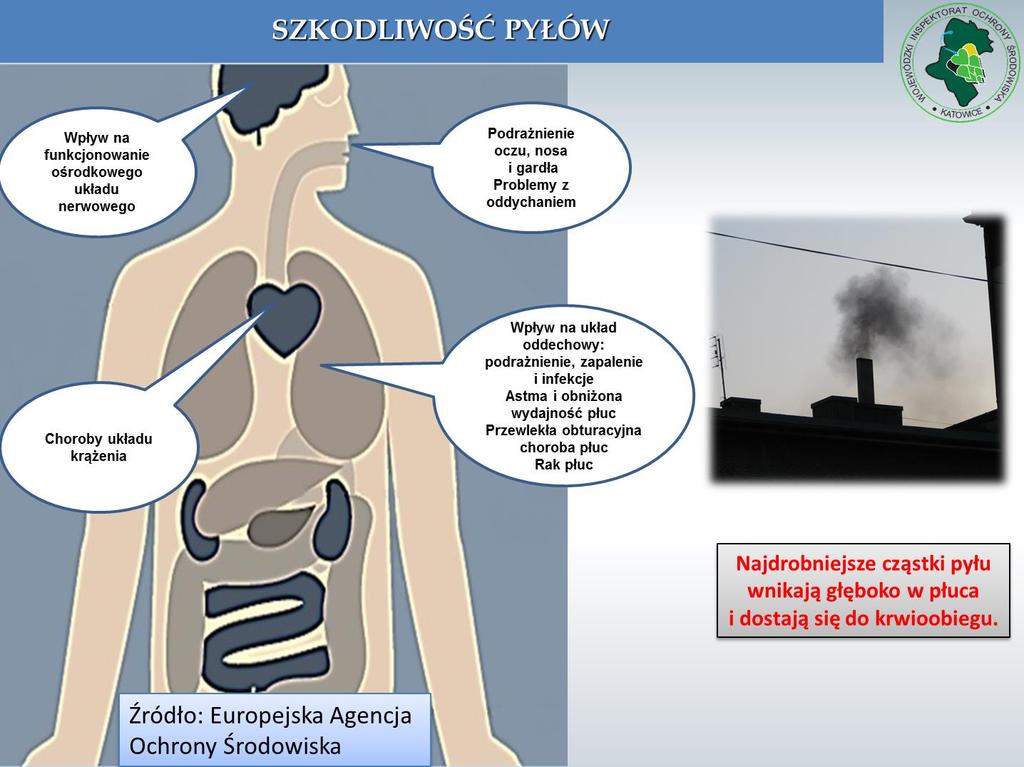 bezpośrednio wpływa na zwiększone ryzyko zachorowania oraz zwężenie naczyń krwionośnych, które prowadzi do powstawania zakrzepów, - osoby z zaburzeniami układu oddechowego pył zawieszony PM10 działa