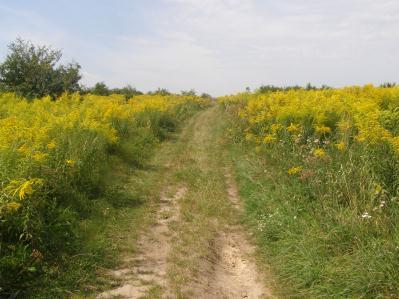 Po 1997 rozszerzyłem ją niemalże na całą wschodnią część tego sektora. Jest to kompleks pól uprawnych łagodnie obniżających się w kierunku południowych.