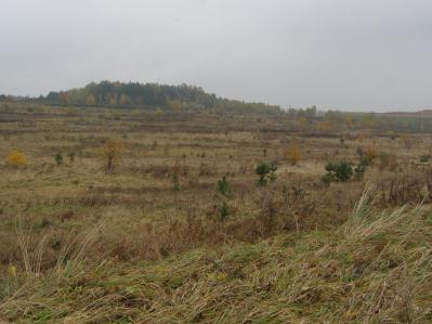 Fot. 193 Widok od strony autostrady. W tle Żydowski Las oraz powierzchnia 146. Stan z dnia 2009.10.27 Fot. 194 Widok od strony autostrady. W tle Żydowski Las oraz powierzchnia 146. Stan z dnia 2010.