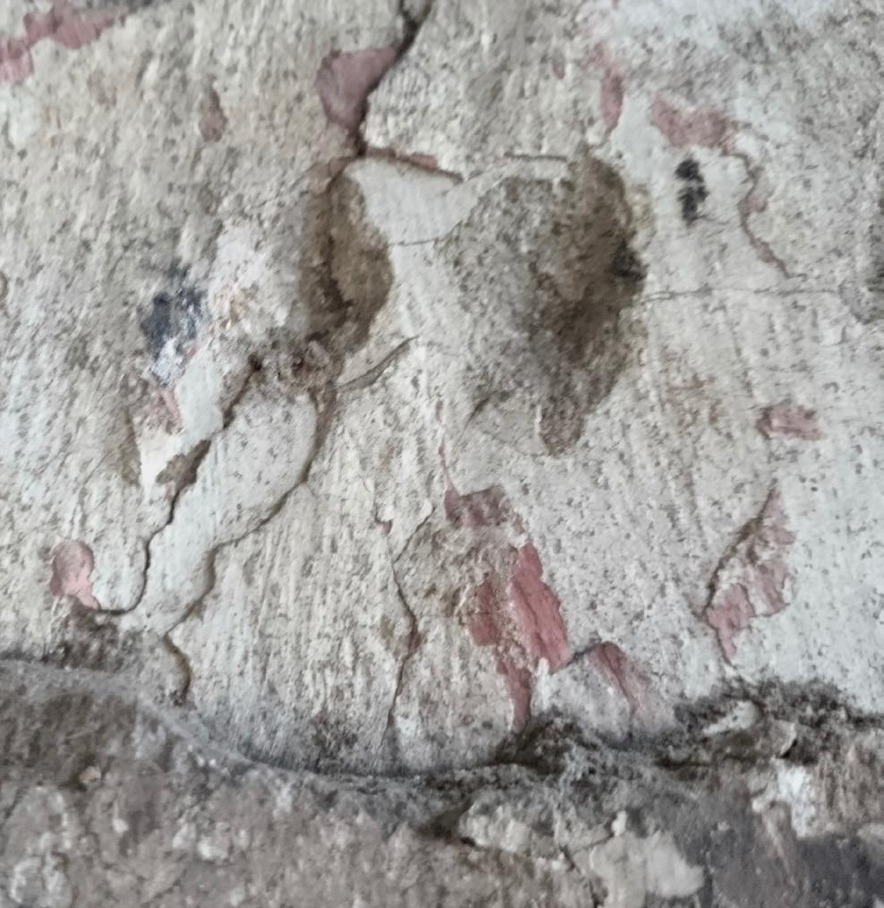 przekrój 9(i) pomieszczenie, ściana wschodnia -5 Próbkę pobrano z najstraszego zachowanego opracowania ściany, należącej do I fazy chronologicznej (powstałej ok. roku 750).