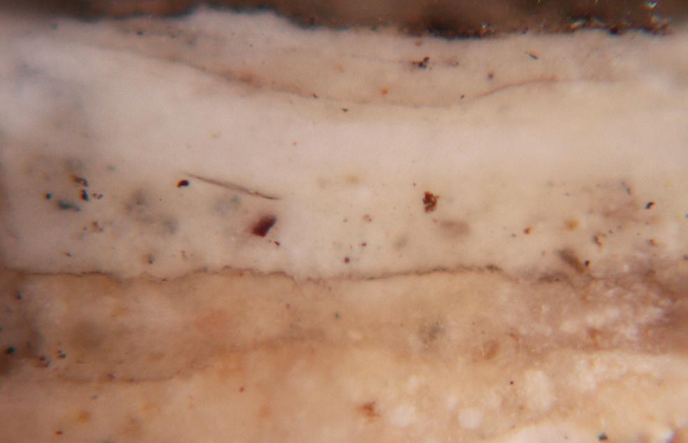 (-8). c 8 7 6 5 powyżej: powiększenie x0. Układ najstarszych warstw obejmuje warsty - białą strzałką oznaczono granicę pomiędzy kolejnymi fazami.