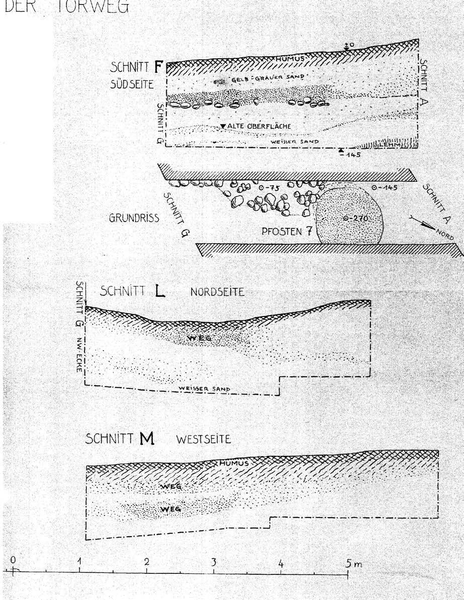 Badania archeologiczne obiektów warownych w Starym Dzierzgoniu w latach 1935 2018 Ryc. 21. Obiekt warowny na Górze Zamkowej w St. Dzierzgoniu, profil płd. wykopu F, profil płn.