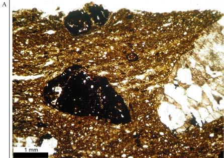 Microscope picture of sample 6 (7/11) observed at one polarizer (A) and two